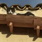 Il Geco Διαμέρισμα