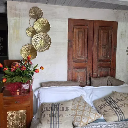 Apartamento Il Geco *