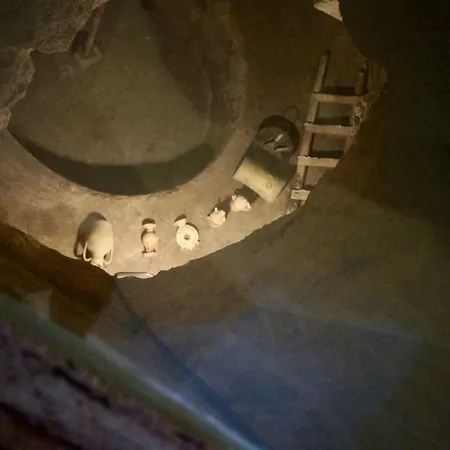 Apartamento Il Geco *